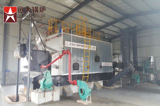 Vietnam Biomass boiler