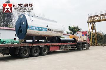 Shandong 6 ton boiler