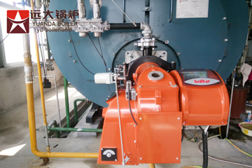 china condensing gas steam boiler